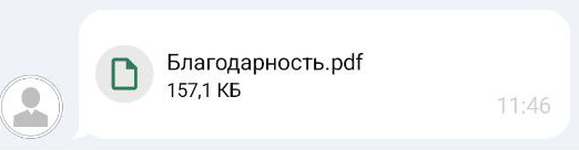 Сообщения с файлом