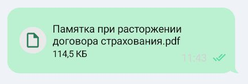 Сообщения с файлом