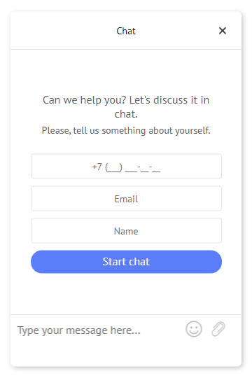 Img. 1. Start chat window